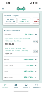 Financial Insights Screenshot